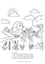 Desenho grátis Pássaro Pássaros e mamíferos voadores Ninho de pássaro Família de animais Filhote