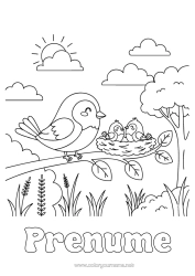 Pagină de colorat gratuită Pasăre Păsări și mamifere zburătoare Cuib de pasăre Familia animalelor Pui de animal