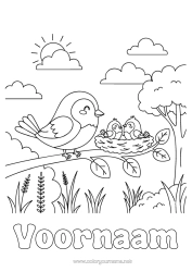 Gratis kleurplaat Vogel Vogels en vliegende zoogdieren Vogelnest Dierenfamilie Dierenbaby