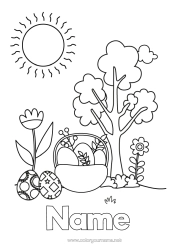 Colouring to customise Flowers Sun Easter Eggs Basket Tulip