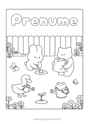 Pagină de colorat gratuită Drăguț Iepure Animal Păsări și mamifere zburătoare Animale din pădure Udatore Gâscă Grădină Grădinărit