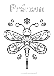 Coloriage gratuit Kawaii Insectes Libellule