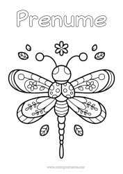 Pagină de colorat personalizată Drăguț Insecte Libelulă