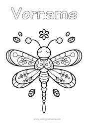 Malvorlage anpassen Kawaii Insekten Libelle