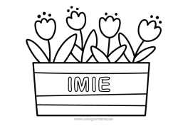 Kolorowanka za darmo Tulipan Łatwe kolorowanki