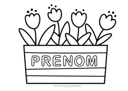 Coloriage à personnaliser Tulipe Coloriages faciles
