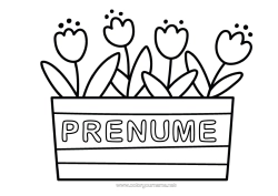 Pagină de colorat gratuită Lalea Desene de colorat ușoare