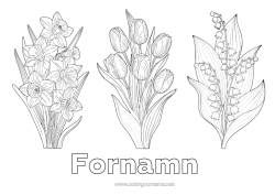 Gratis färgläggning Blommor Liljekonvalj Påskliljor Tulpan Realistisk