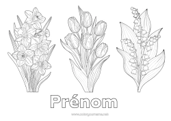 Coloriage à personnaliser Fleurs Muguet Jonquilles Tulipe Réaliste