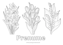 Pagină de colorat gratuită Flori Lăcrămioare Narcise Lalea Realist