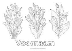 Gratis kleurplaat Bloemen Meiklokje Narcissen Tulp Realistisch