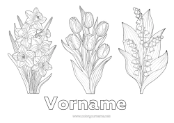 Malvorlage anpassen Blumen Maiglöckchen Jonquilles Tulpe Realistisch