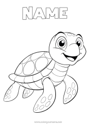 Free coloring Turtle Marine or aquatic animals Reptiles Cartoon Sea Turtle