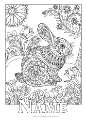 Free coloring Flowers Bunny Complex coloring pages Zentangle Forest animals