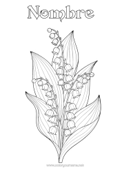 Colorear para personalizar Flores Lirio de los valles 1 de mayo Realista