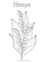 Desenho para personalizar Flores Lírio do vale 1º de maio Realista