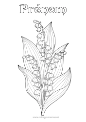 Coloriage à personnaliser Fleurs Muguet 1er mai Réaliste