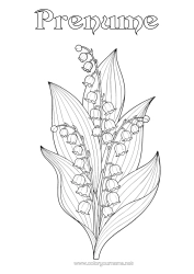 Pagină de colorat gratuită Flori Lăcrămioare 1 Mai Realist