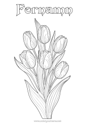 Gratis färgläggning Blommor Tulpan Realistisk