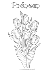 Coloriage à personnaliser Fleurs Tulipe Réaliste