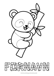 Gratis farvelægning Sød Kawaii Panda Nem farvelægning Andre dyr i verden Bambus