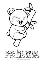 Coloriage à personnaliser Mignon Kawaii Panda Coloriages faciles Autres animaux du monde Bambou