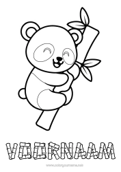 Gratis kleurplaat Schattig Kawaii Panda Eenvoudige kleurplaten Andere dieren van de wereld Bamboe