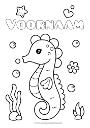Gratis kleurplaat Zeepaardje Eenvoudige kleurplaten Zeester Zeedieren