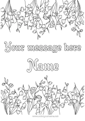 Free colouring Flowers Lily of the valley 1st May Framework