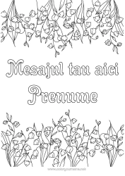 Pagină de colorat gratuită Flori Lăcrămioare 1 Mai Cadru