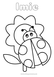 Kolorowanka za darmo Kwiaty Biedronka Łatwe kolorowanki Owady