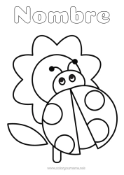 Colorear gratis Flores Mariquita Dibujos fáciles para colorear Insectos