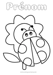 Coloriage à personnaliser Fleurs Coccinelle Coloriages faciles Insectes