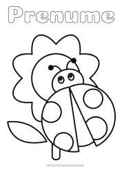 Pagină de colorat gratuită Flori Gărgăriță Desene de colorat ușoare Insecte