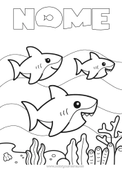 Colorazione gratuita Mare Squalo Animali marini o acquatici Famiglia di animali Cucciolo