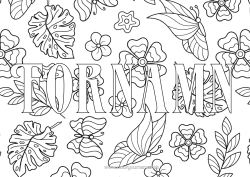 Gratis färgläggning Blommor Fjäril Blad Klee Insekter Dekorativ bakgrund