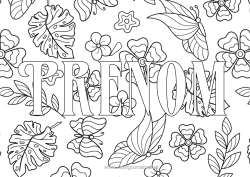 Coloriage à personnaliser Fleurs Papillon Feuilles Trèfle Insectes Fond décoratif