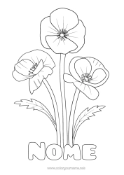 Colorazione gratuita Fiori Realista Papavero