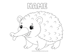 Colouring to customise Realistic Echidna Animals Of Australia