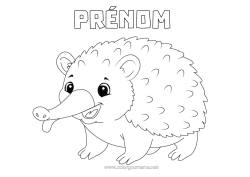 Coloriage gratuit Réaliste échidné Animaux d’Australie