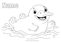 Free coloring Marine or aquatic animals Animals of Australia Platypus