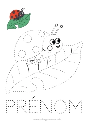 Coloriage à personnaliser Feuilles Coccinelle Coloriages faciles Trace et colorie Insectes Coloriage avec modèle