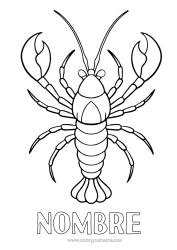 Colorear para personalizar Animales Animales marinos o acuáticos Langosta Realista