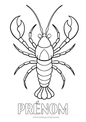 Coloriage gratuit Animal Animaux marins ou aquatique Homard Réaliste