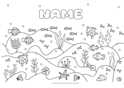 Colouring to customise Sea Fish Starfish Marine Or Aquatic Animals Sea Turtle Seabed