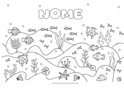 Desenho grátis Mar Animal Peixe Estrela do mar Animais marinhos ou aquáticos Tartaruga marinha Fundo marinho