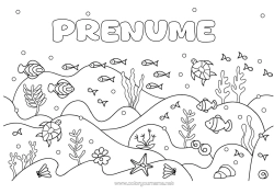 Pagină de colorat gratuită Mare Animal Pește Stea de mare Animale marine sau acvatice Broască țestoasă marină Fonduri marine