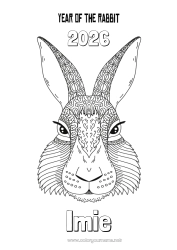 Rysunek za darmo Zając 2023 Chiński Nowy Rok Zwierzęta leśne