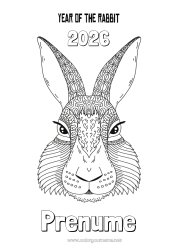 Pagină de colorat personalizată Iepure 2023 Anul Nou Chinezesc Animale din pădure