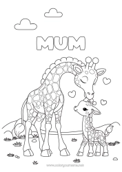 Free colouring Heart Giraffe Animal Wild animals of Africa Animal family Cub Kiss